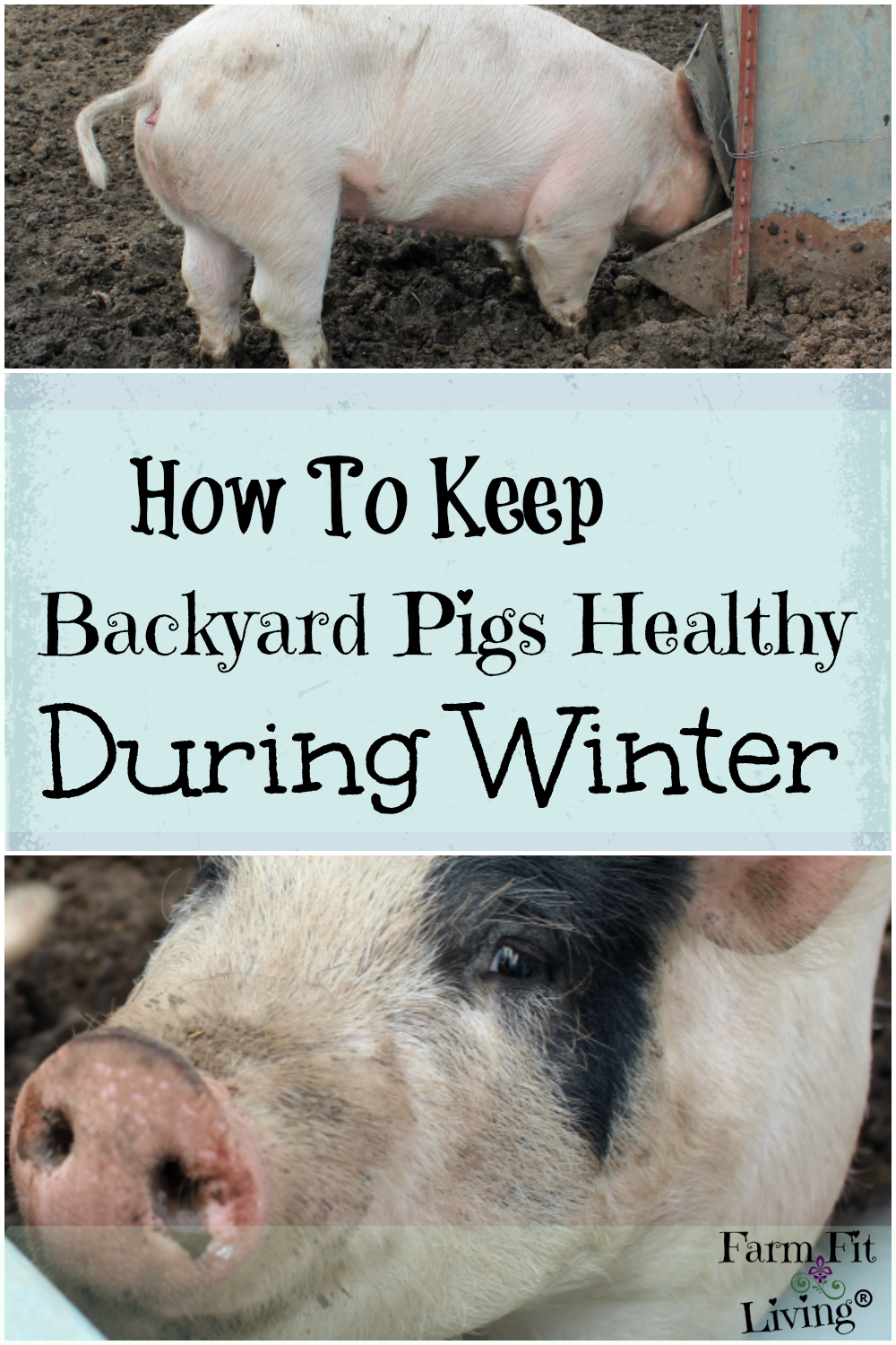 How To Stay Healthy Fit And Safe During The Winter Season