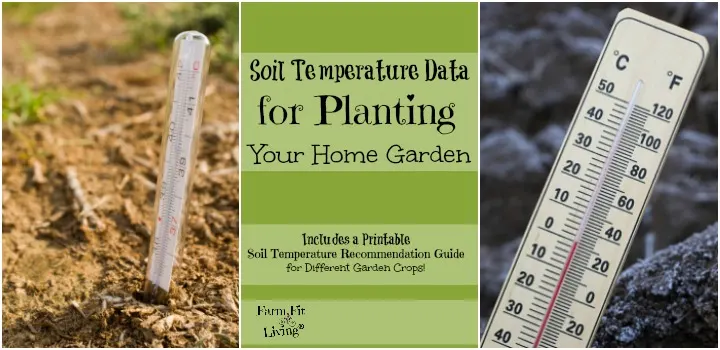 Soil Temperature Data for Planting Home Gardens