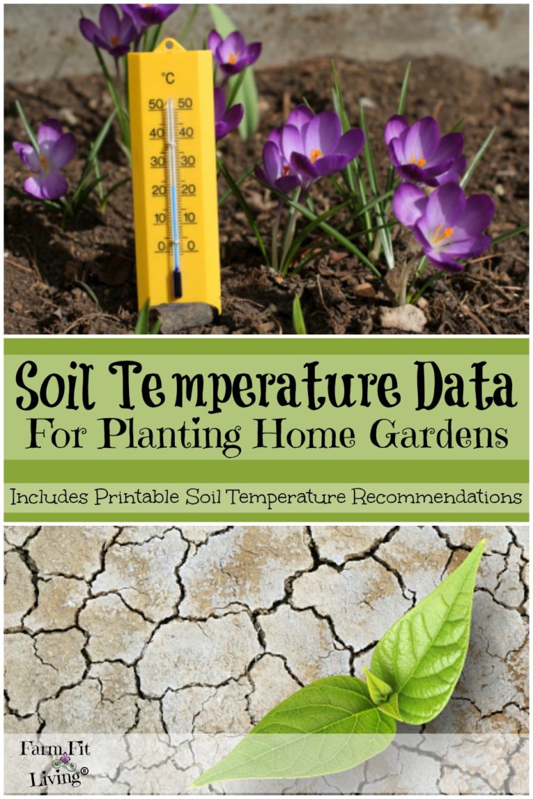 Soil Temperature Data for Planting Home Gardens Farm Fit