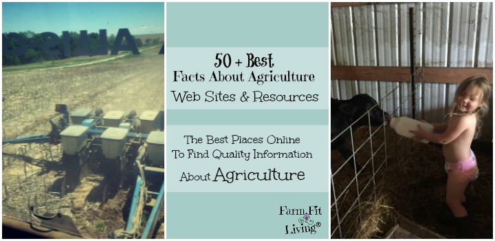 Best Facts About Agriculture
