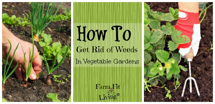 how to get rid of weeds in your vegetable garden