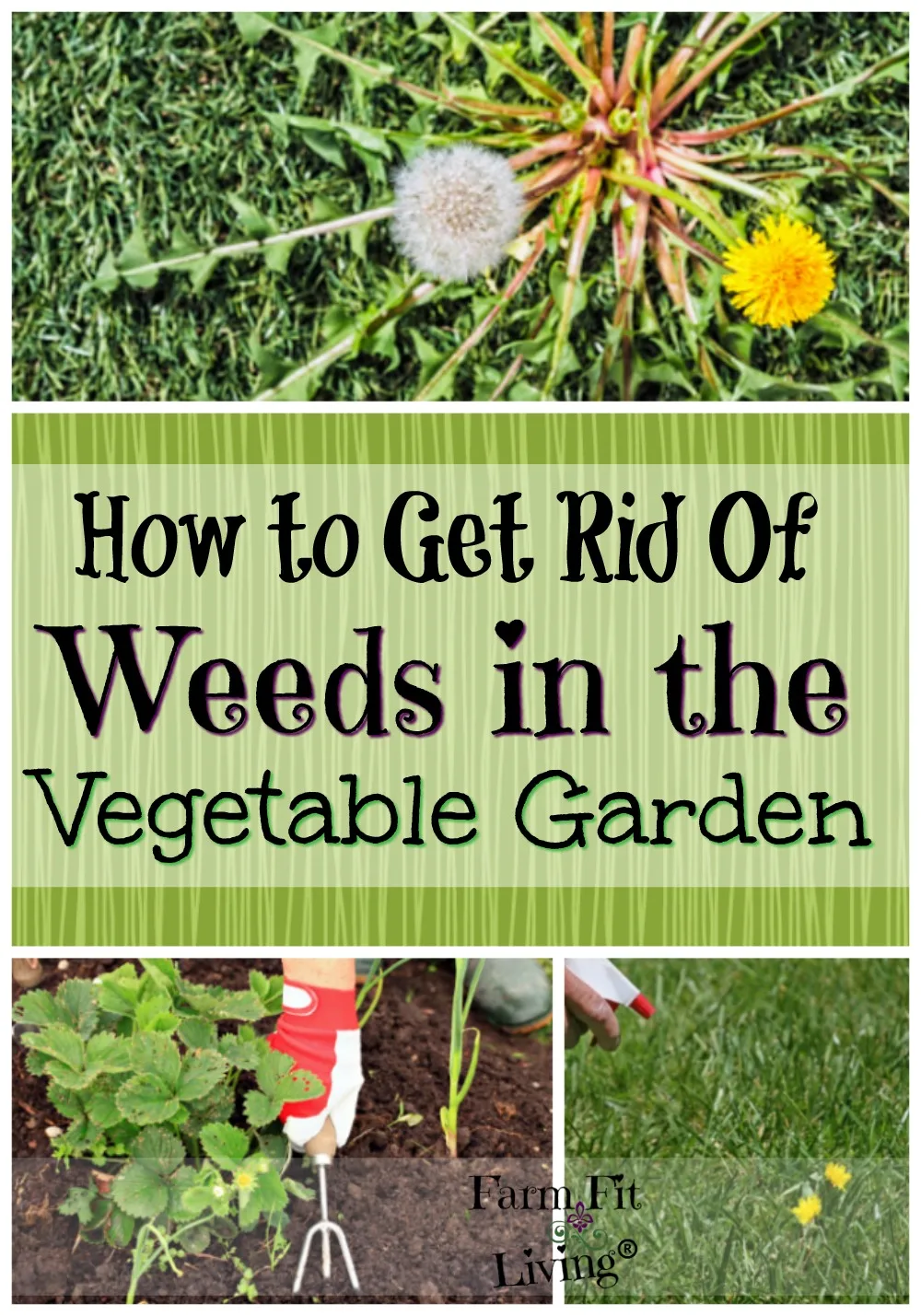 Get Rid Of Weeds In Vegetable Gardens, How To Weed A Large Vegetable Garden