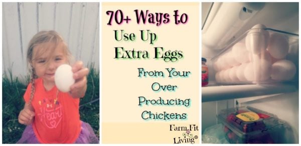 70+ Ways to Use Up Extra Eggs From Over Producing Chickens
