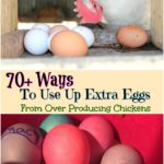 Ways to use up extra eggs