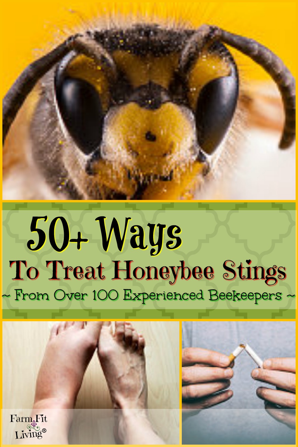ways to treat honeybee stings