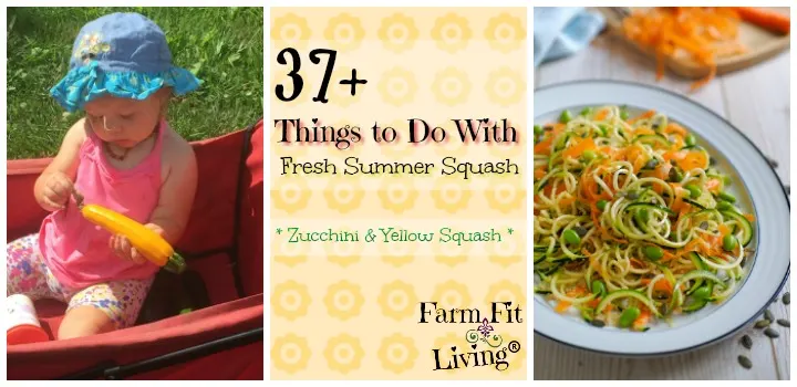 things to do with all that summer squash