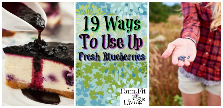 ways to use up fresh blueberries