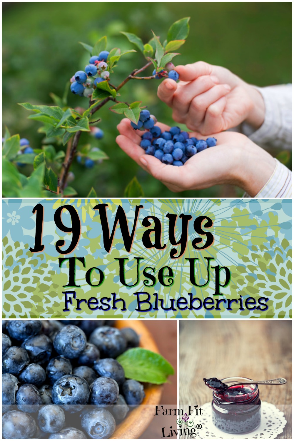 ways to use up fresh blueberries