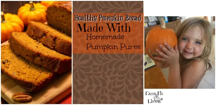 Healthy Pumpkin Bread Recipe