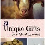 Unique Gifts for Goat lovers