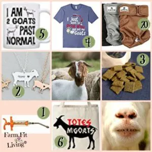 unique gifts for goat lovers