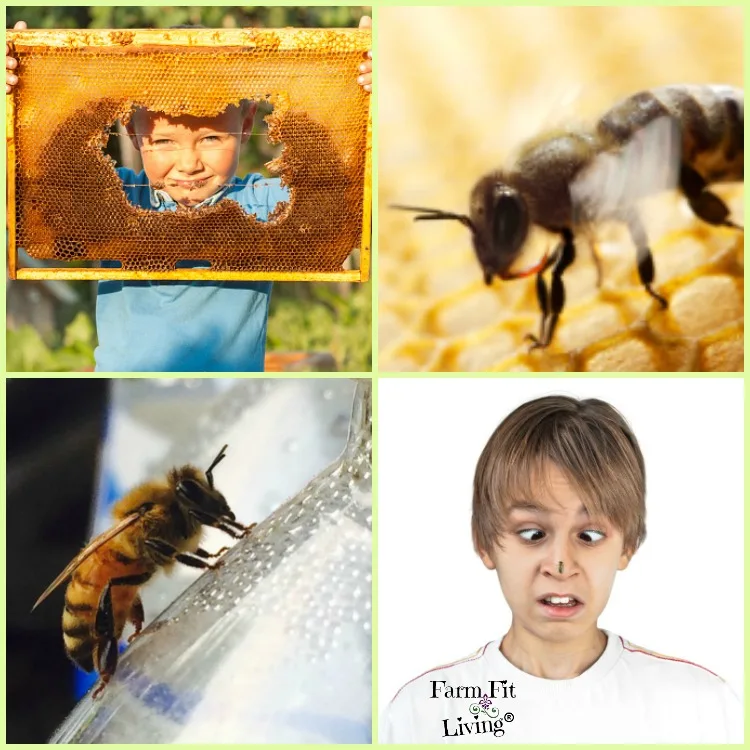 Is Beekeeping Wrong?