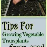 Growing Vegetable Transplants from Seed