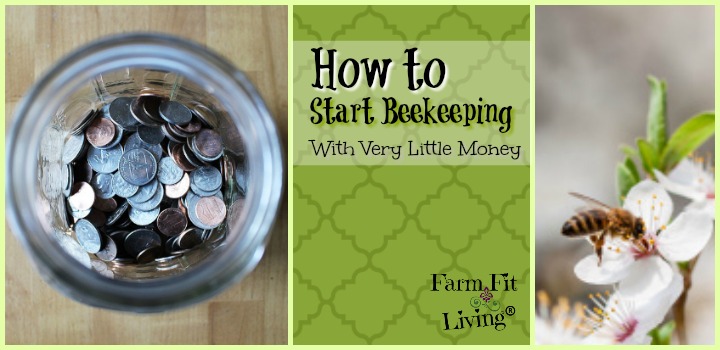 start beekeeping with very little money