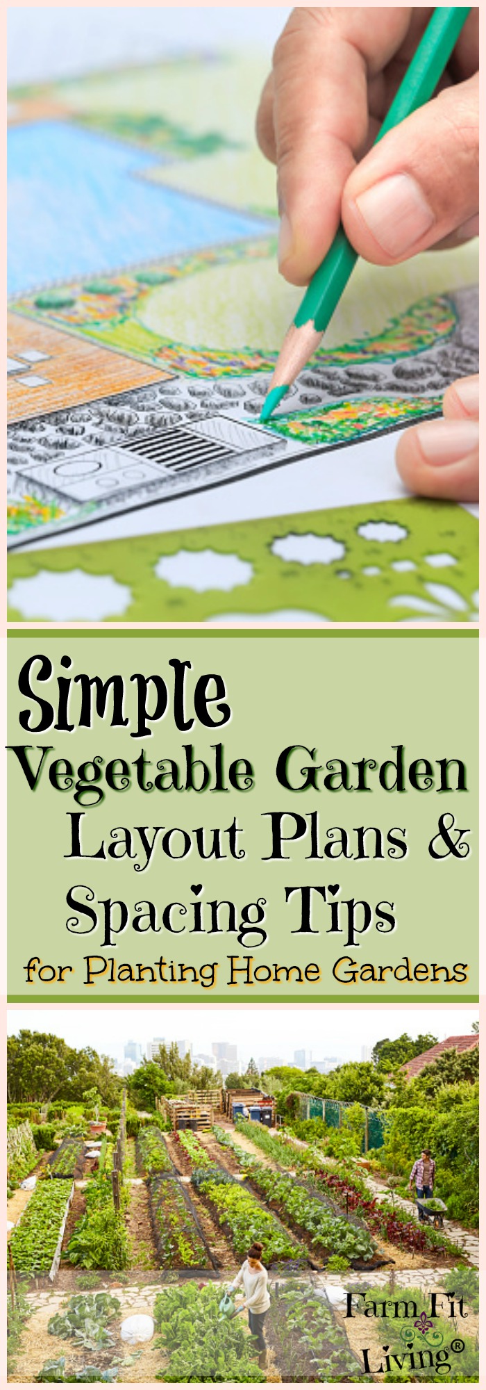 Simple Vegetable Garden Layout Plans and Spacing Tips