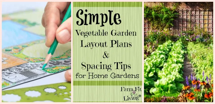 simple vegetable garden layout plants and spacing