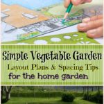 simple vegetable garden layout plans and spacing