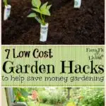 Low Cost Garden Hacks