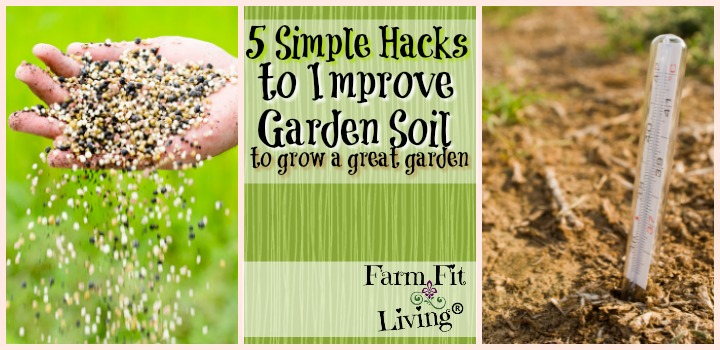 5 Simple Hacks to Improve Garden Soil 