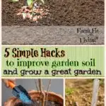 5 simple hacks to improve garden soil