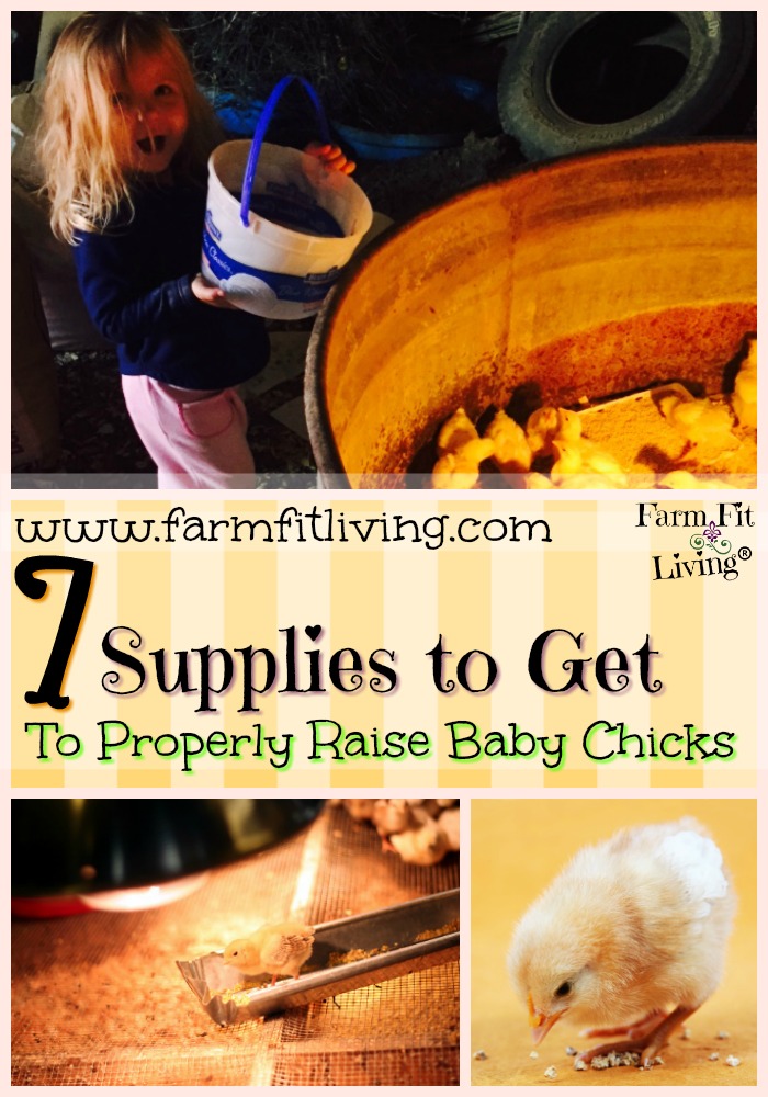 Supplies to get to properly raise baby chicks