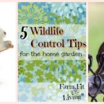 wildlife control tips
