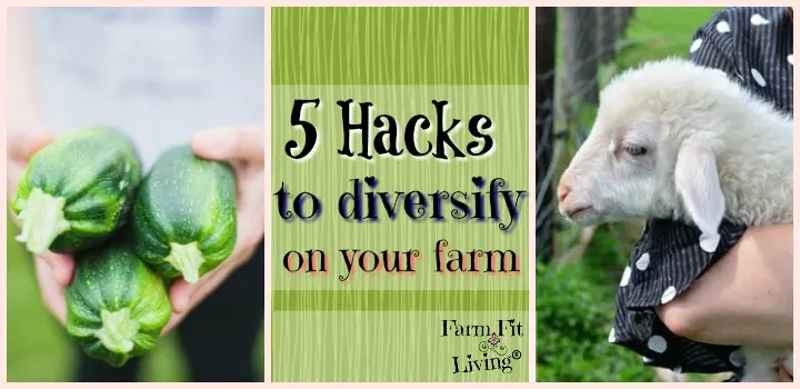 hacks to diversify on the farm