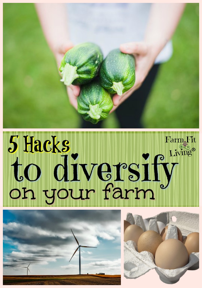 hacks to diversify on the farm