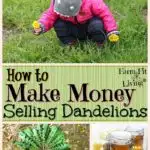 Make Money Selling Dandelions