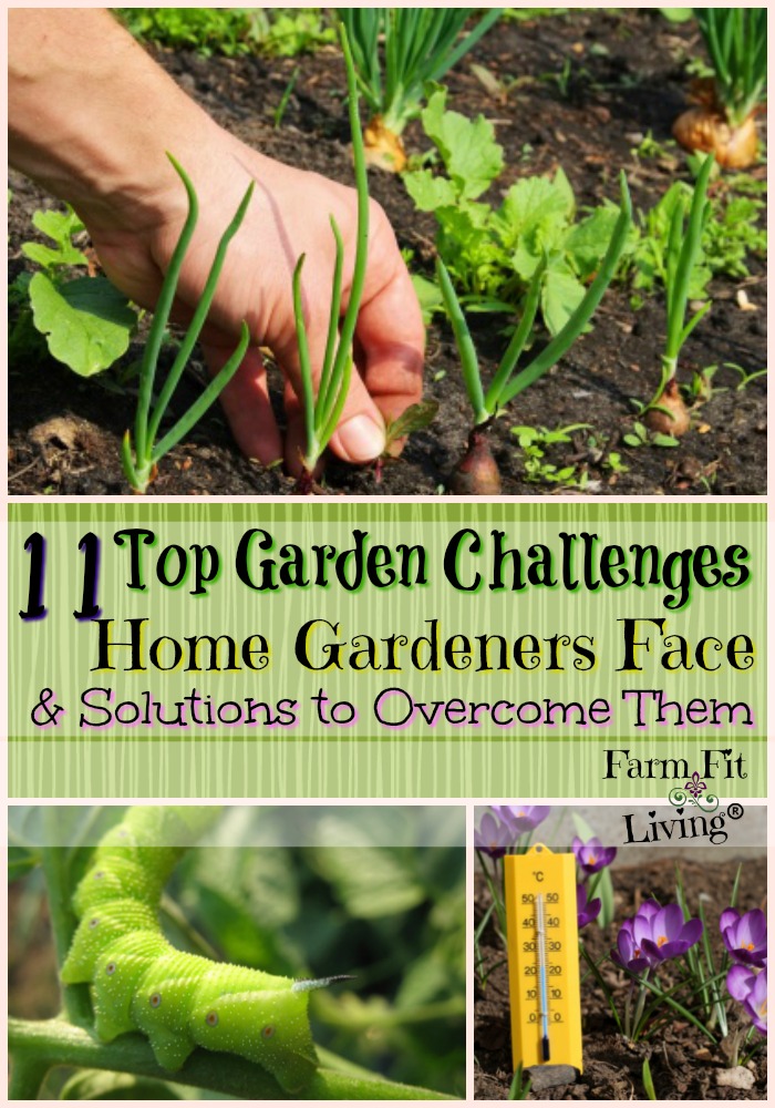 Top Garden Challenges