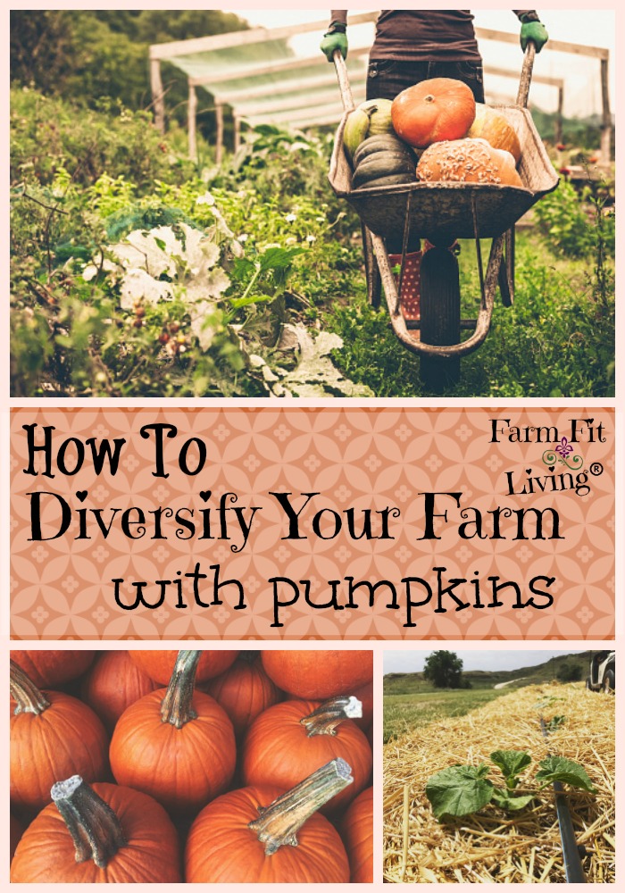 Diversify Your Farm With Pumpkins