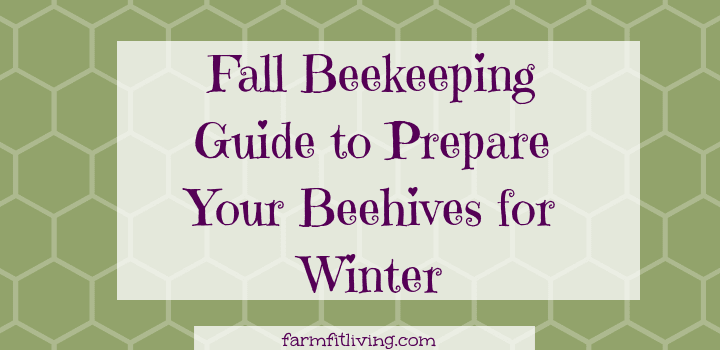 Fall Beekeeping Guide