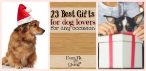 Best Gifts for Dog Lovers