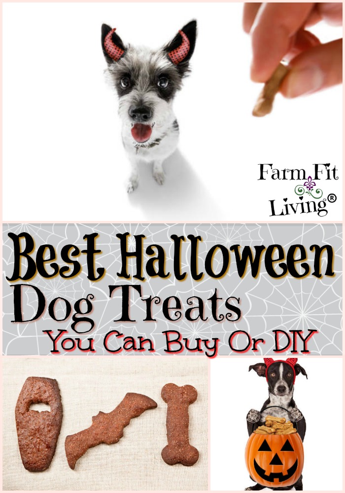 23 Best Halloween Dog Treats You can