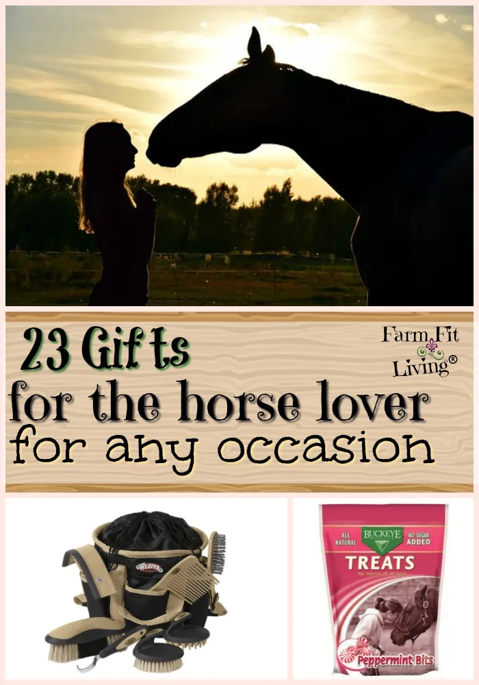 cheap gifts for horse lovers