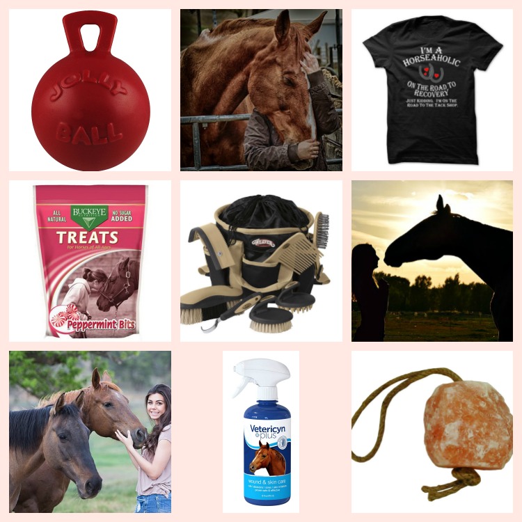 23 Top Gifts for Horse Lovers for Any Occasion - Farm Fit Living