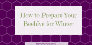 how to prepare your beehive for winter