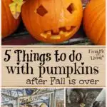things to do with pumpkins after fall is over