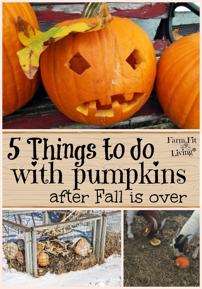 things to do with pumpkins after fall is over