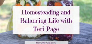 homesteading and balancing life