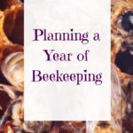 planning a year of beekeeping