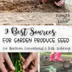 best sources for garden produce seed