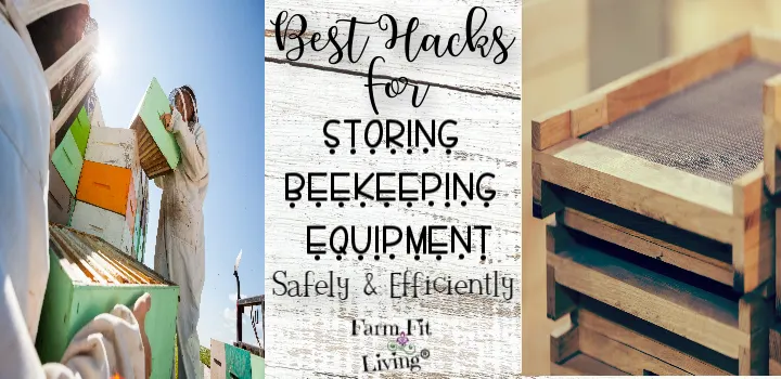 Best Hacks for Storing Beekeeping Equipment Safely & Efficiently