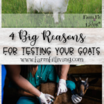 testing your goats