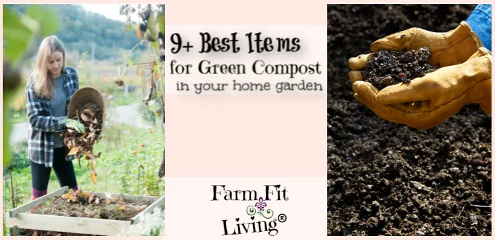 9+ Best Items for Green Compost in your Home Garden
