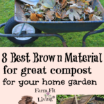 best brown material for great compost for your home garden