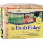 must-have chicken supplies list for a happy flock