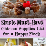 Simple Must-Have Chicken Supplies for a Happy Flock