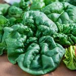 How to Grow Great Spinach