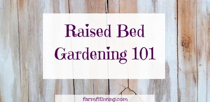 raised bed gardening 101